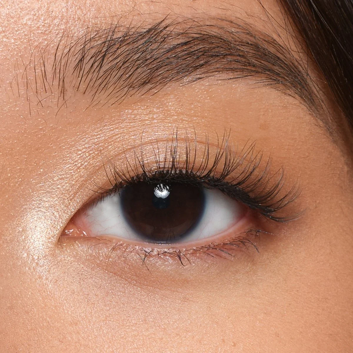 Darling Strip Lashes - Image 3