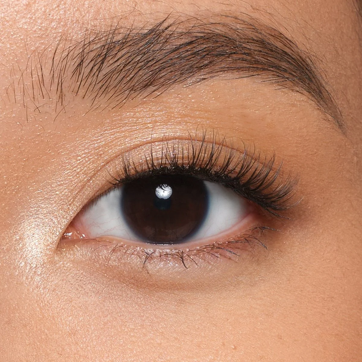 Muse Strip Lashes - Image 3